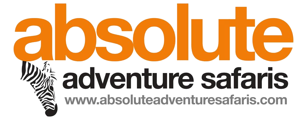 absolute adventure safaris limited